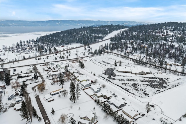 snowy aerial view featuring a mountain view