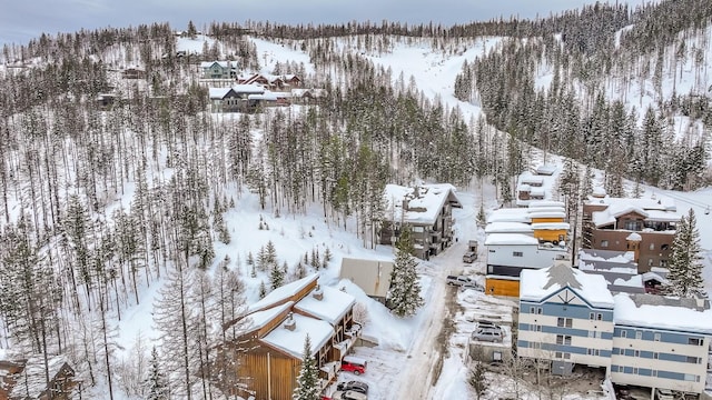 3854 Winter Ln, Whitefish, MT 59937