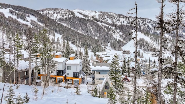 3854 Winter Ln, Whitefish, MT 59937