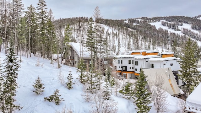 3854 Winter Ln, Whitefish, MT 59937