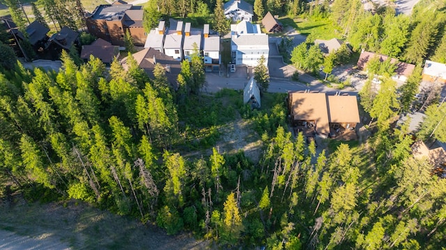 3854 Winter Ln, Whitefish, MT 59937