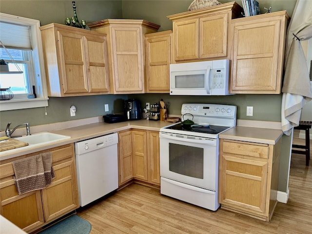 kitchen featuring light countertops, light brown cabinetry, a sink, light wood-type flooring, and white appliances