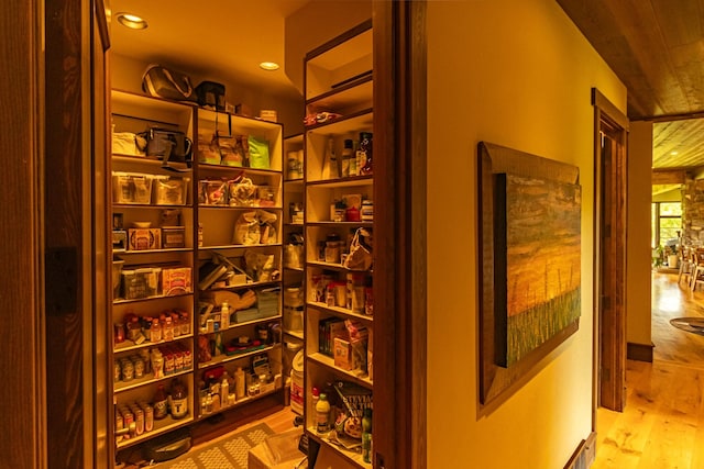 view of pantry