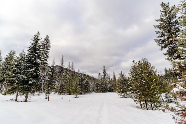 Listing photo 2 for NHN E Fisher Rd, Libby MT 59923