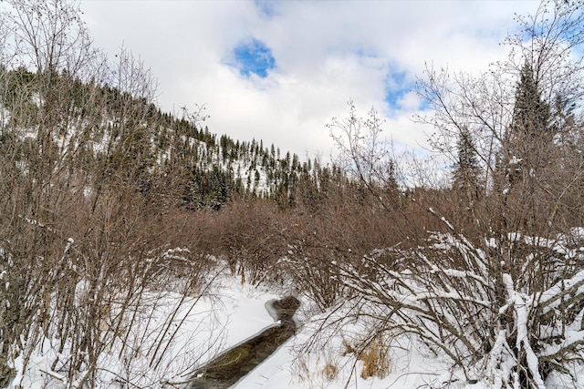 Listing photo 3 for NHN E Fisher Rd, Libby MT 59923