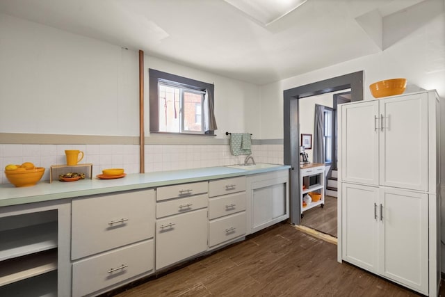 bathroom featuring a sink, backsplash, and wood finished floors