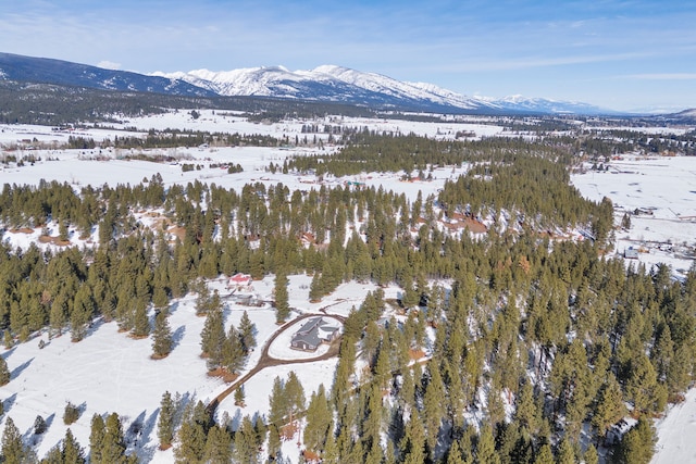 snowy aerial view featuring a mountain view