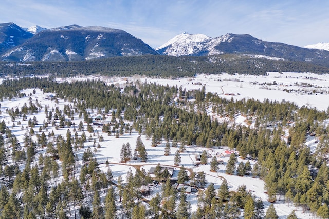 view of mountain feature