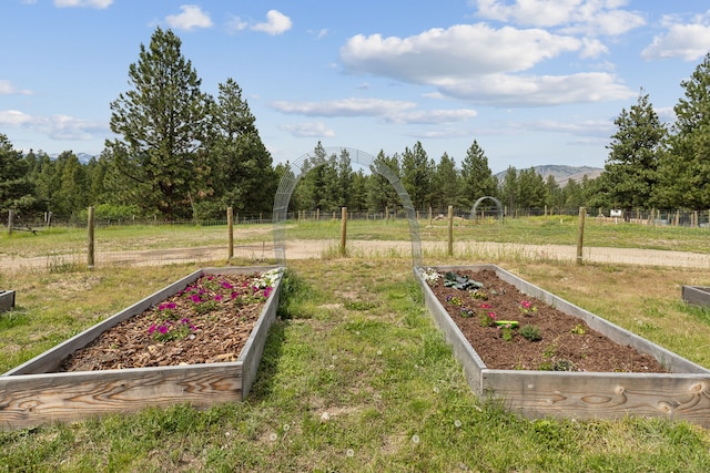 view of yard with a mountain view, a rural view, and a garden