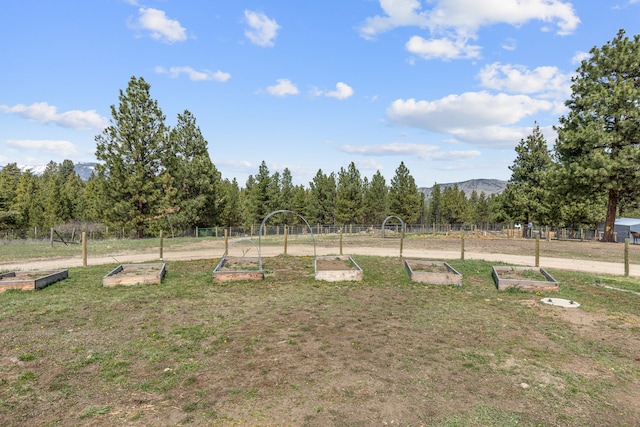 view of yard featuring a garden and a mountain view