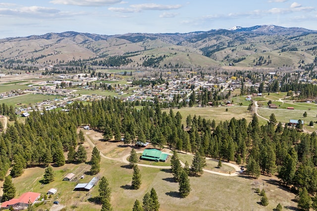 birds eye view of property featuring a mountain view