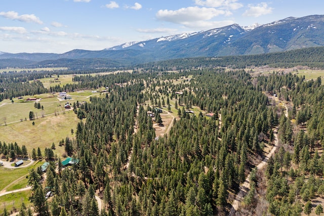 bird's eye view with a mountain view