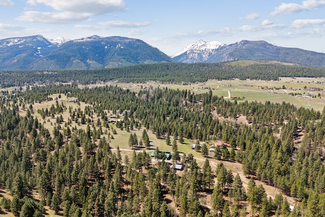 mountain view featuring a forest view