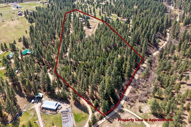 drone / aerial view with a view of trees