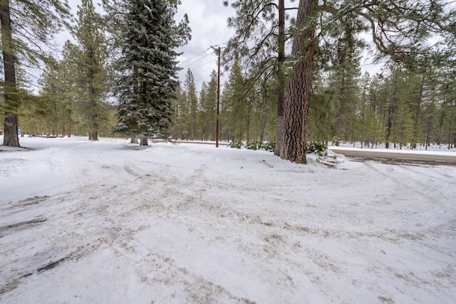 view of yard layered in snow