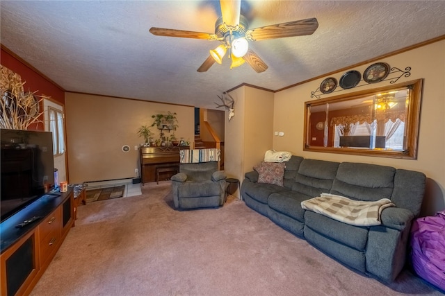 living area featuring carpet, a baseboard radiator, ornamental molding, ceiling fan, and a textured ceiling