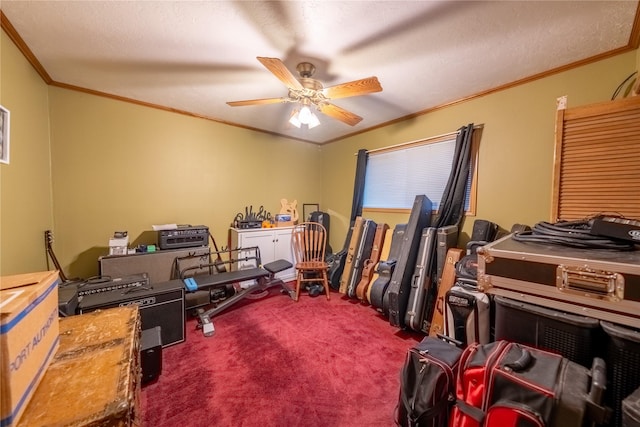 misc room featuring carpet, ornamental molding, ceiling fan, and a textured ceiling