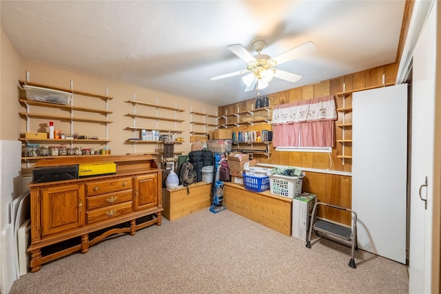 storage room with a ceiling fan