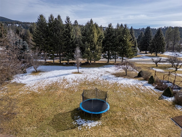 yard covered in snow with a trampoline