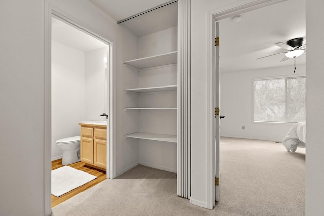 312 Ponderosa St, Kalispell, MT 59901 - view of closet