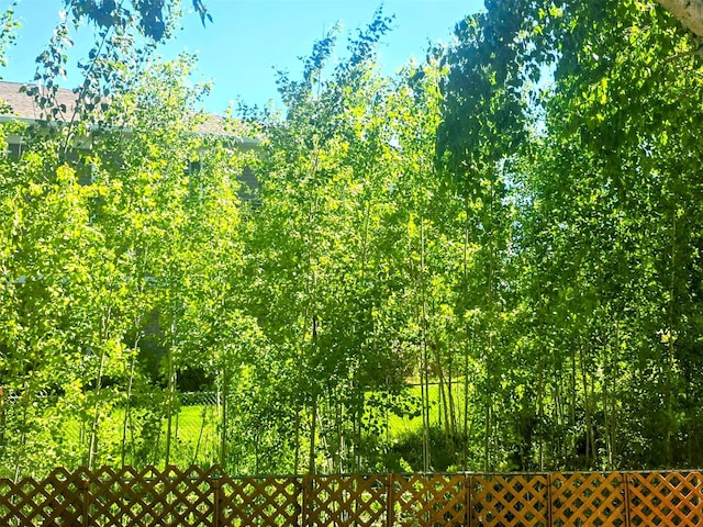 312 Ponderosa St, Kalispell, MT 59901 - view of undeveloped land