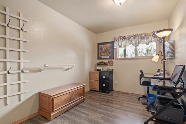 office with baseboards and wood finished floors