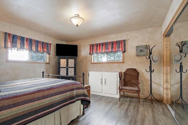 bedroom featuring multiple windows and wood finished floors