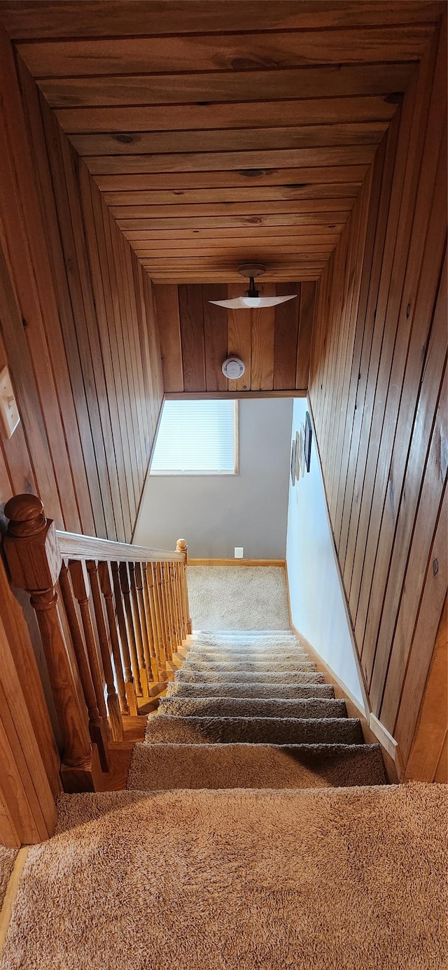 staircase with wooden walls