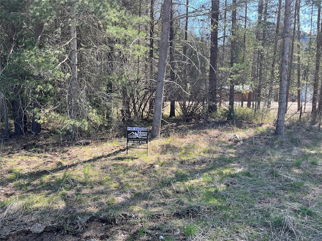 NHN Upper River Rd, Heron, MT 59844