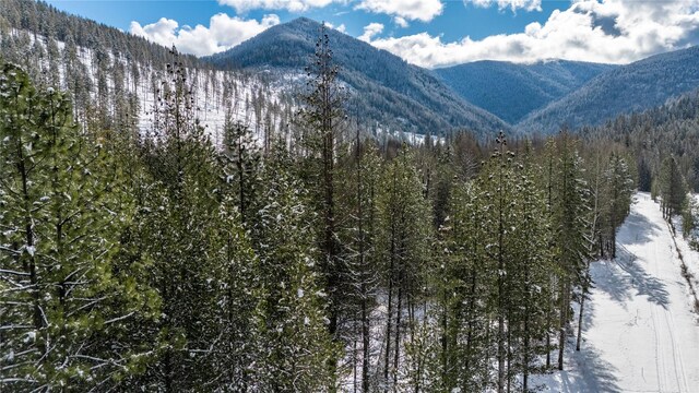 NHN Upper River Rd, Heron, MT 59844