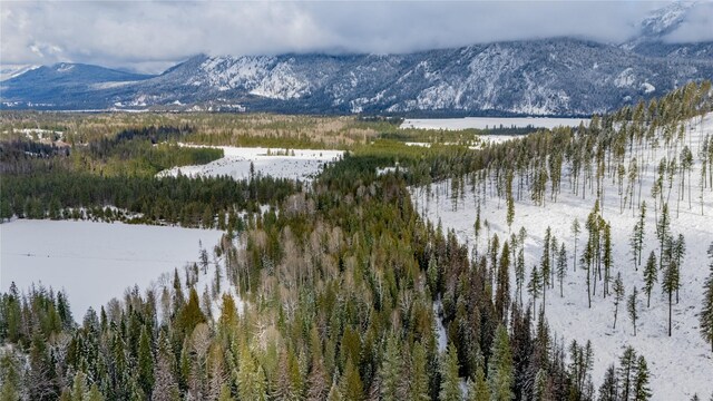 NHN Upper River Rd, Heron, MT 59844