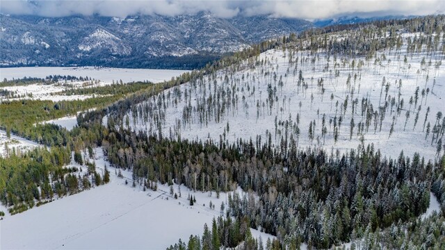 NHN Upper River Rd, Heron, MT 59844