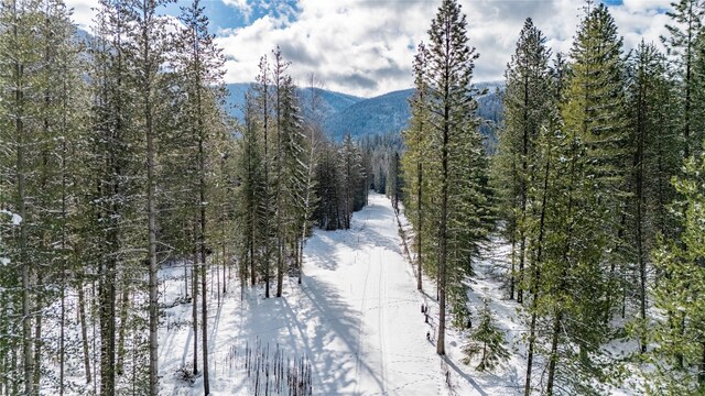 NHN Upper River Rd, Heron, MT 59844