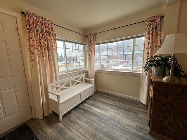 bedroom featuring multiple windows, baseboards, and wood finished floors