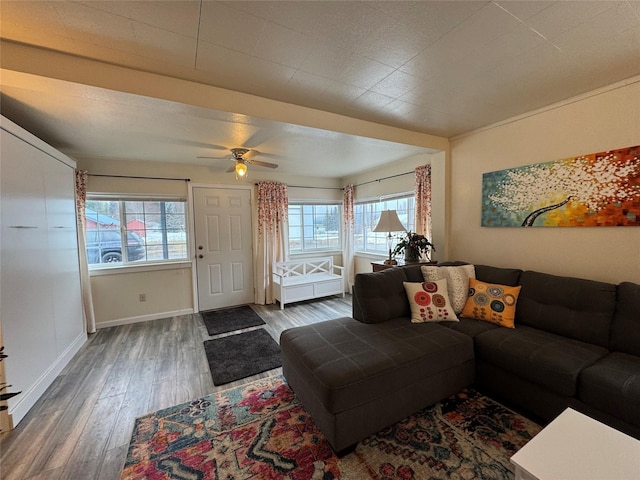 living area featuring baseboards, ceiling fan, wood finished floors, and a healthy amount of sunlight