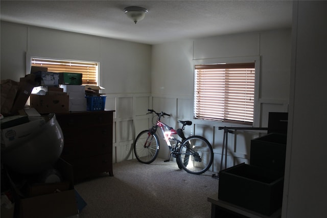 misc room featuring carpet and a decorative wall