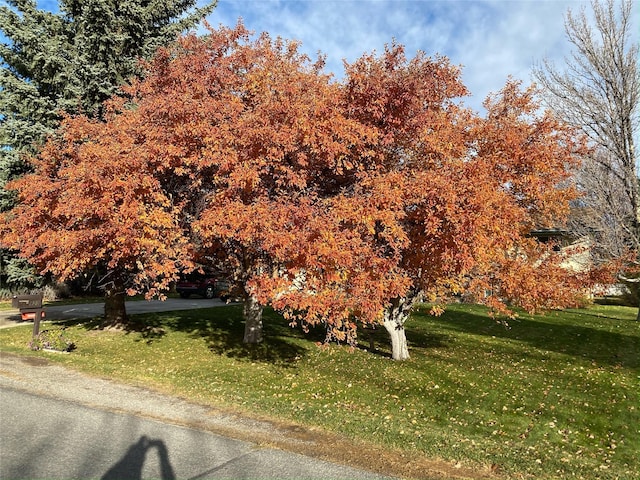 exterior space featuring a lawn