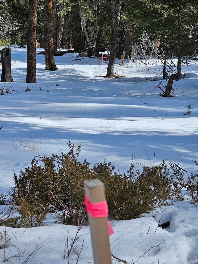 view of yard layered in snow