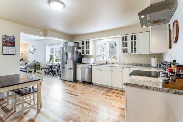 kitchen featuring light wood-style floors, stainless steel appliances, a sink, and exhaust hood