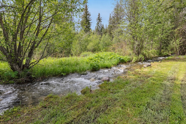 1743 Nighthawk Trl, Victor, MT 59875 - view of tree filled area