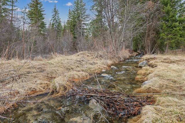 view of nature with a wooded view