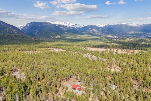 view of mountain feature featuring a forest view