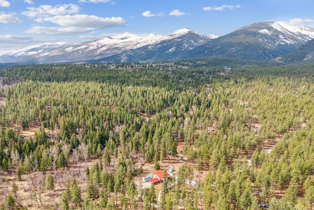 view of mountain feature featuring a wooded view