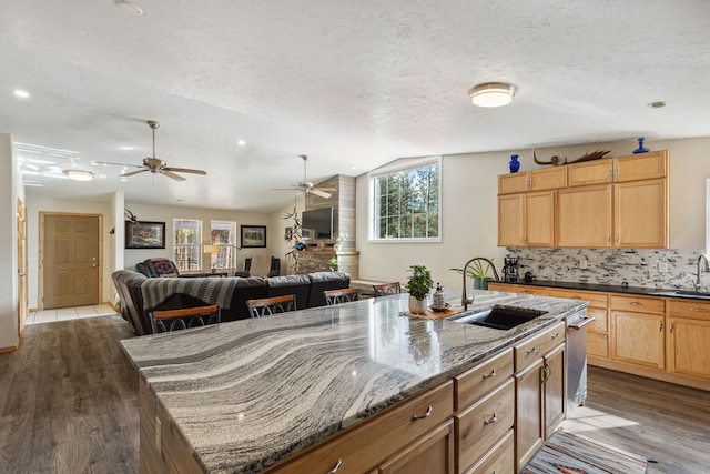 kitchen with a sink, a ceiling fan, dark wood-style floors, an island with sink, and healthy amount of natural light