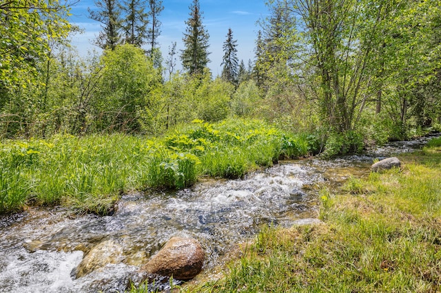 1743 Nighthawk Trl, Victor, MT 59875 - view of undeveloped land