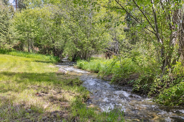 1743 Nighthawk Trl, Victor, MT 59875 - view of yard with a forest view