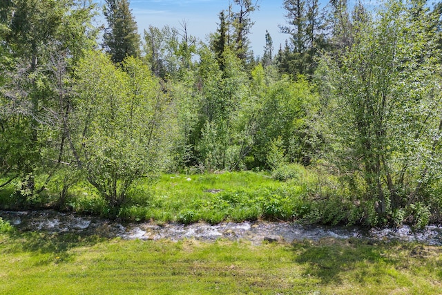 1743 Nighthawk Trl, Victor, MT 59875 - view of woods