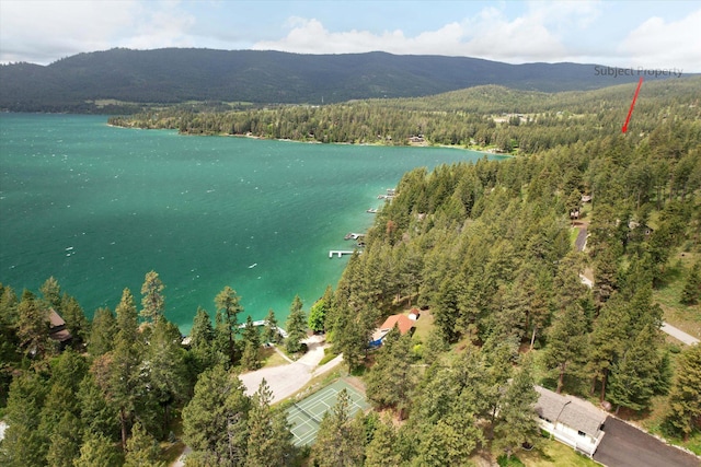 birds eye view of property with a forest view and a water and mountain view