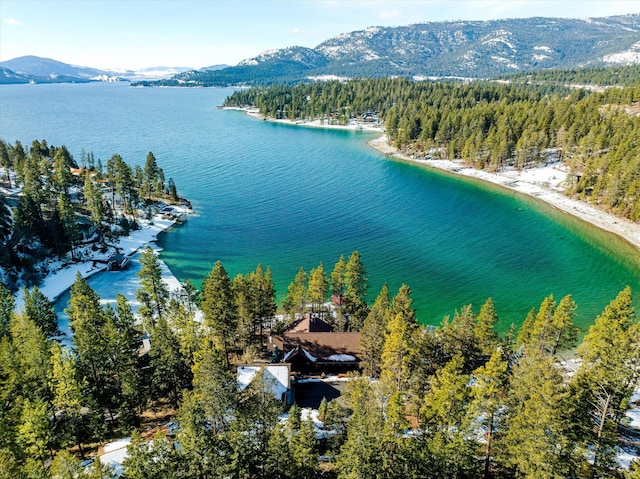 drone / aerial view with a forest view and a water and mountain view