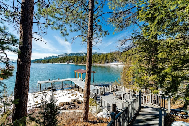 dock area with a water view